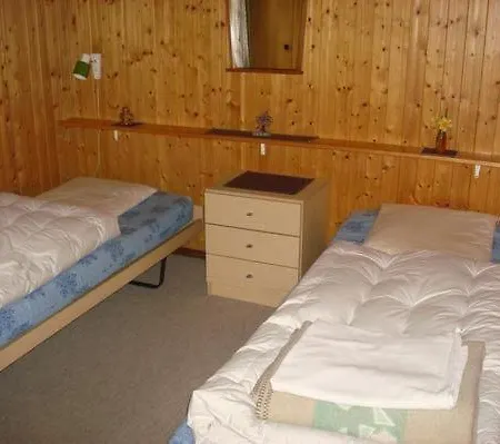Baerli Appartement Fiesch